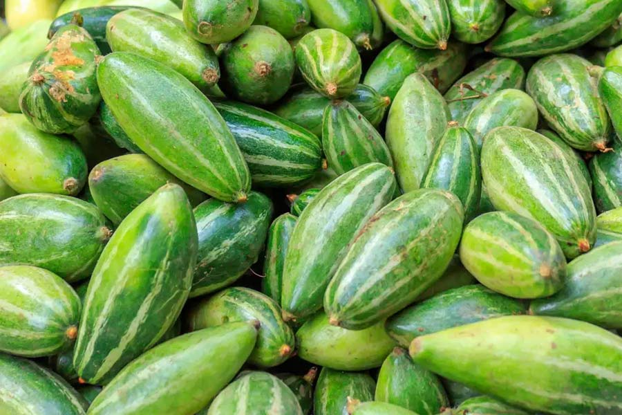 পটল ( Premium Size )