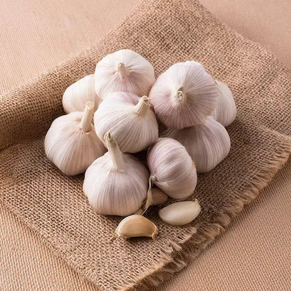 Garlic ( রসূন)