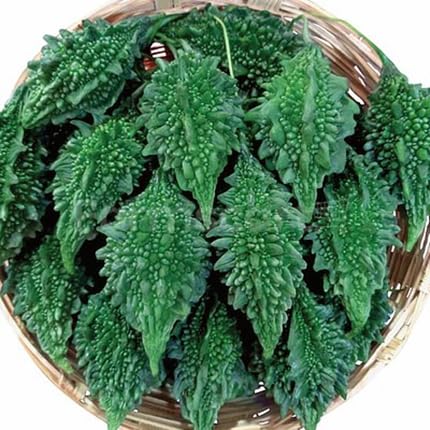 উচ্ছে ( দেশী )Bitter Gourd