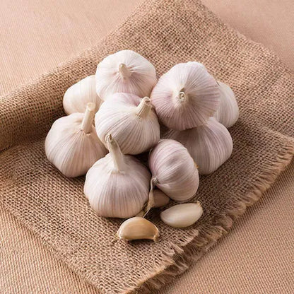 Garlic ( রসূন)